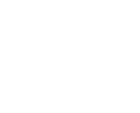 Neverfail